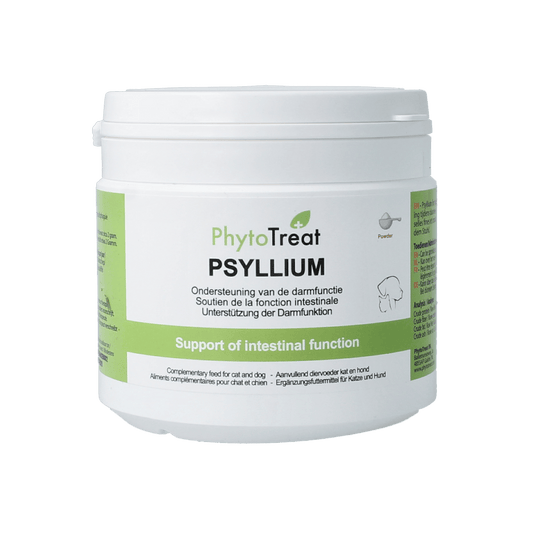 PhytoTreat Psyllium supplement for dogs, cats, and horses in 150g packaging, natural dietary fiber for animal health.