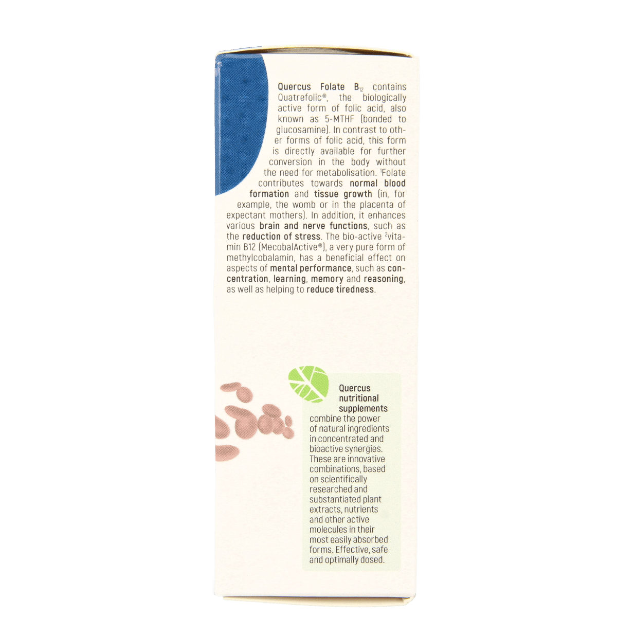 Bottle of Quercus Folate B12 multivitamin tablets, showing the label and 80-count packaging for supporting daily vitamin intake.